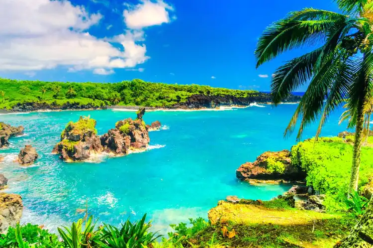 Hotels in Kula