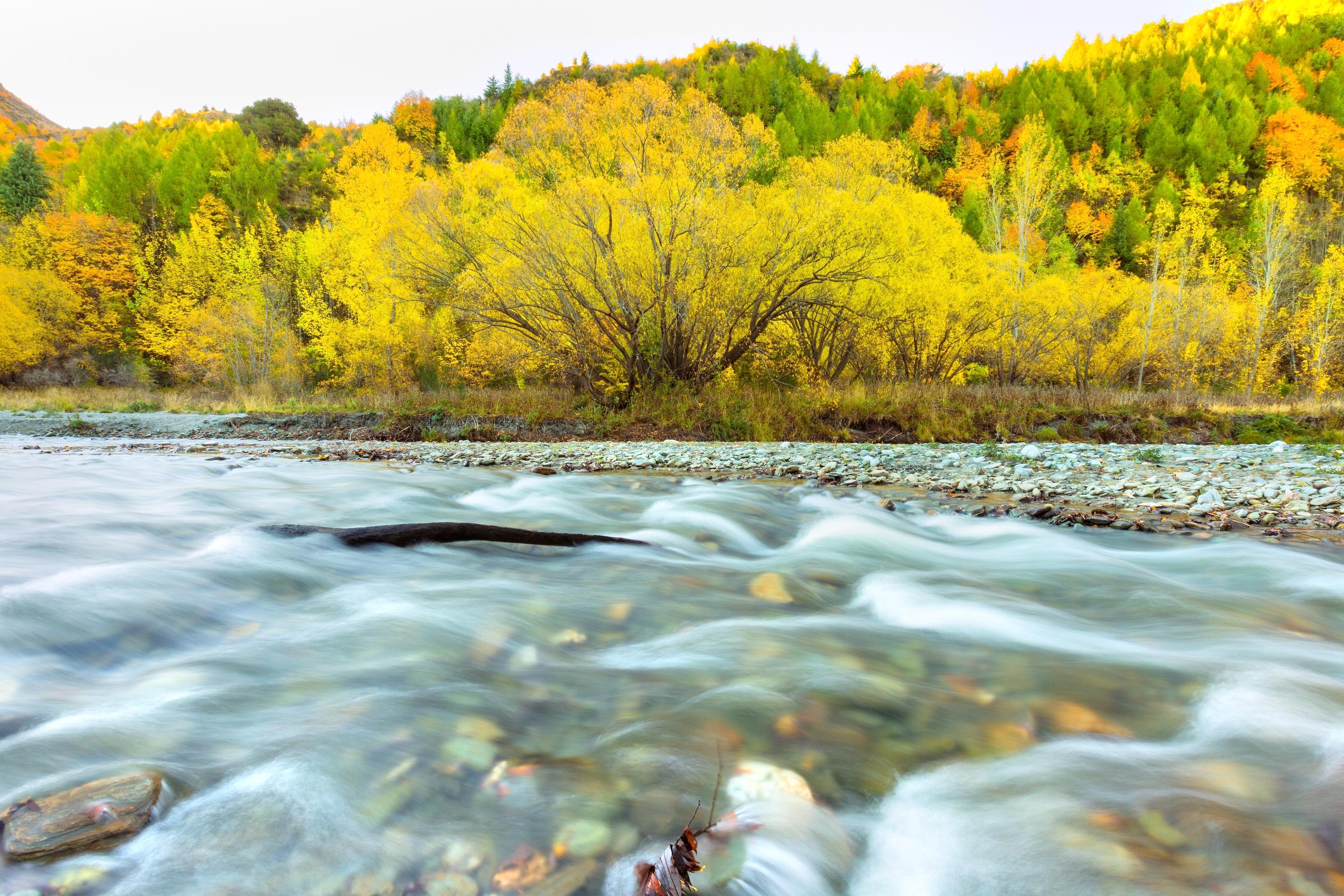 絶対に行くべきアロータウンの観光スポット トリップドットコム