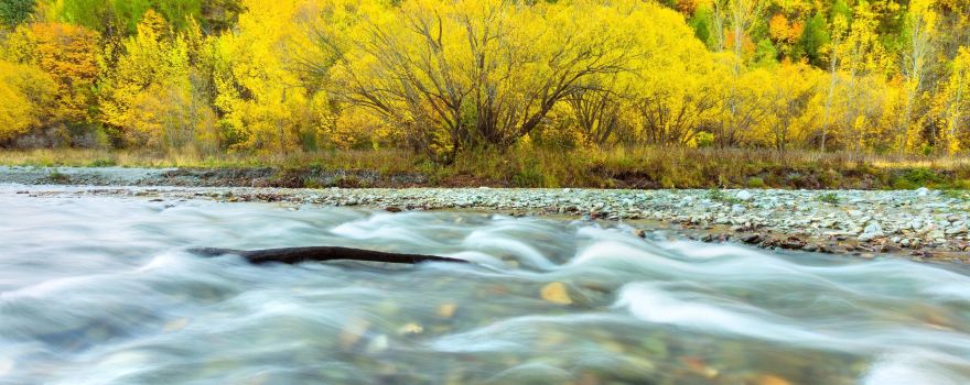 Arrow River