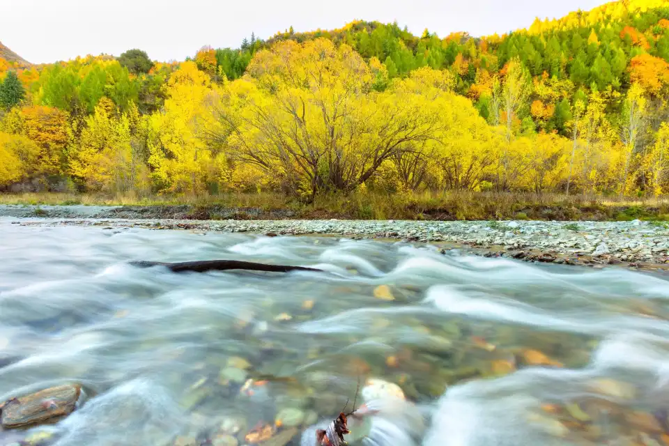 1_Arrow River
