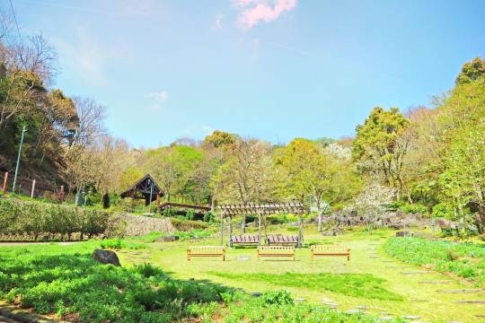日本神户布引香草園+北野異人館街+生田神社+神户動物王國一日遊