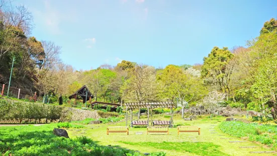 Kobe Nunobiki Herb Gardens