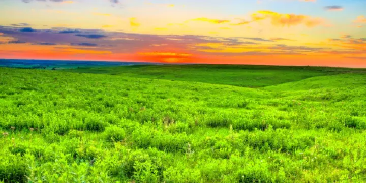 Flint Hills Discovery Center