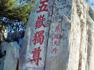 Wuyue Duzun