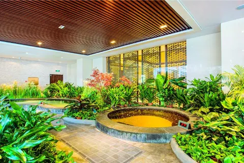 Honghai Wetlands Hot Springs Paradise