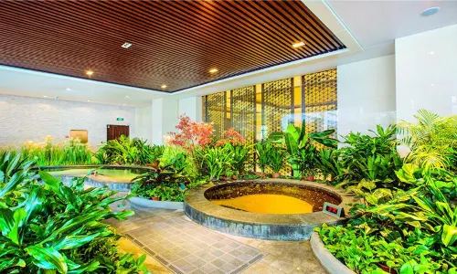 Honghai Wetlands Hot Springs Paradise