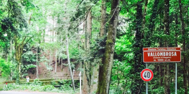 Vallombrosa Benedictine Monastery