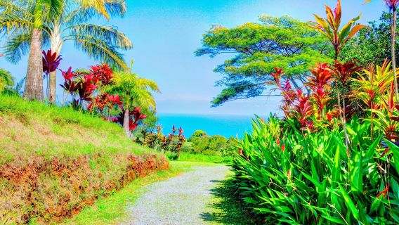 Garden of Eden Arboretum