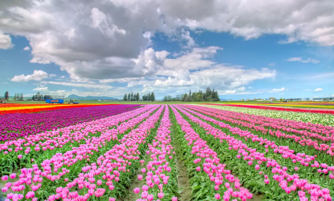 Hotels near Skagit Valley