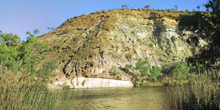 貓王蜜月度假地