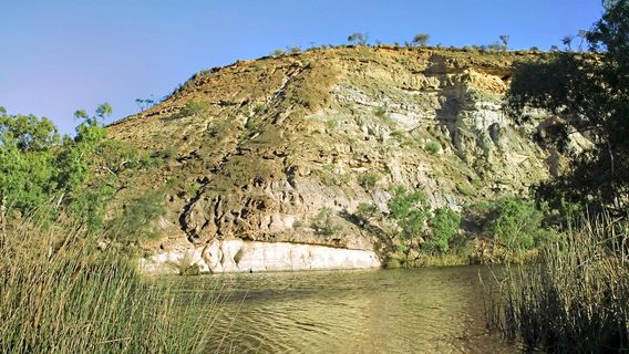 Elvis Honeymoon Hideaway