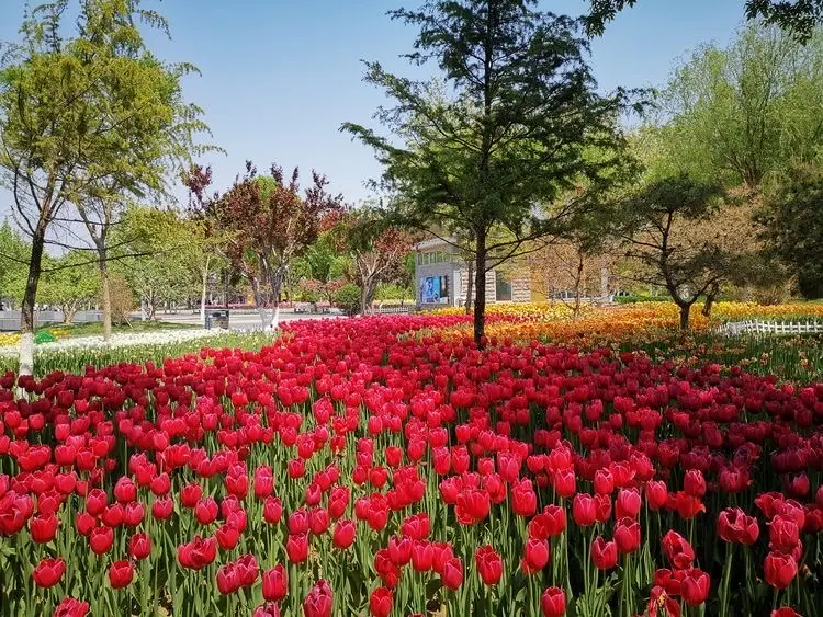 Chizhou Ecology Wetland Park