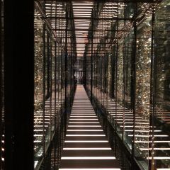 Tin Lung Heen User Photo