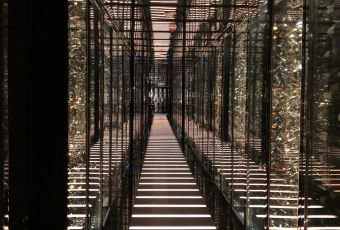 天龍軒用戶圖片