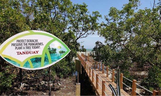 Mangrove Nursery