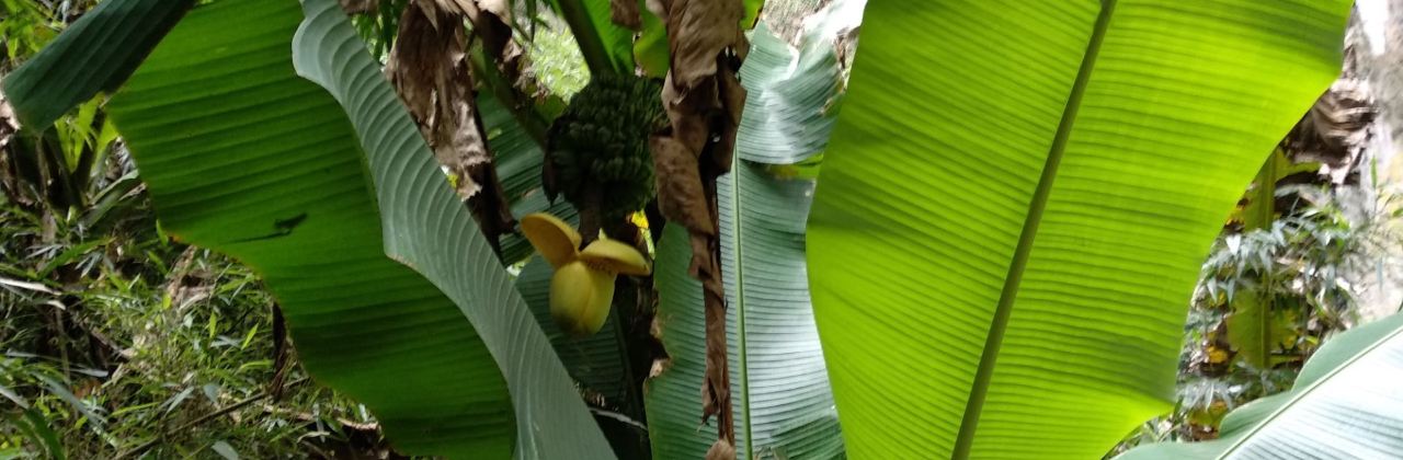 傅正刚糯米饭(金都花园店)