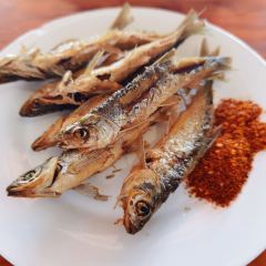 鱼知味 User Photo