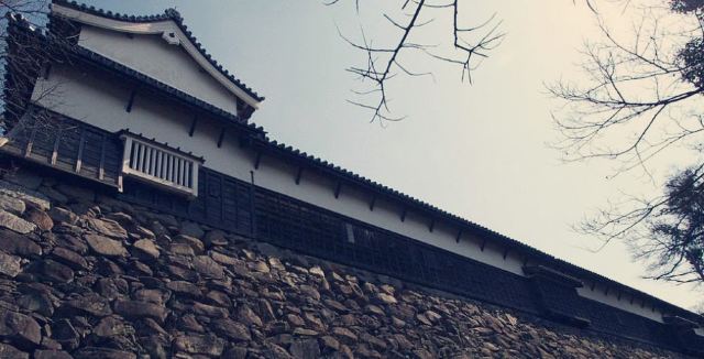 舞鶴公園