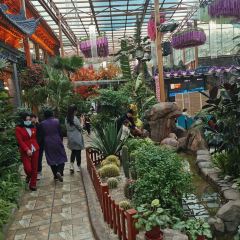 斯奴巴山城总店 User Photo