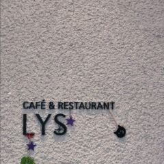 LYS User Photo