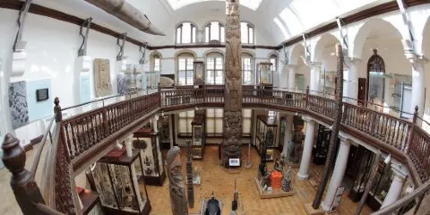 Museum of Anthropology