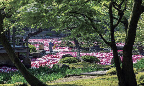 由志園旅遊攻略指南 由志園評價 由志園附近推薦 Trip Com