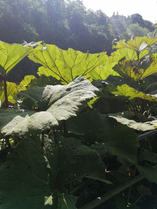 더럼 대성당
