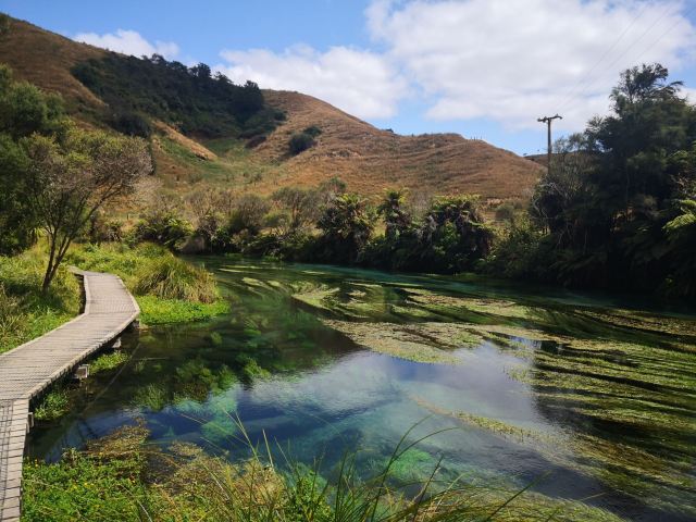 Blue Springs