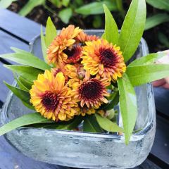 Coco Veranda User Photo