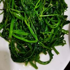 中國人家張用戶圖片