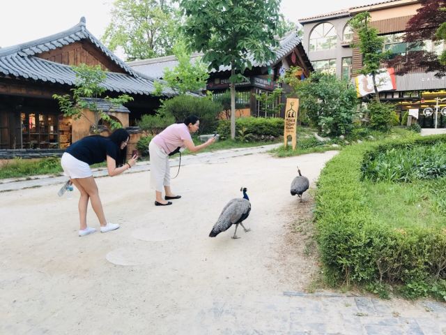 Nami Island