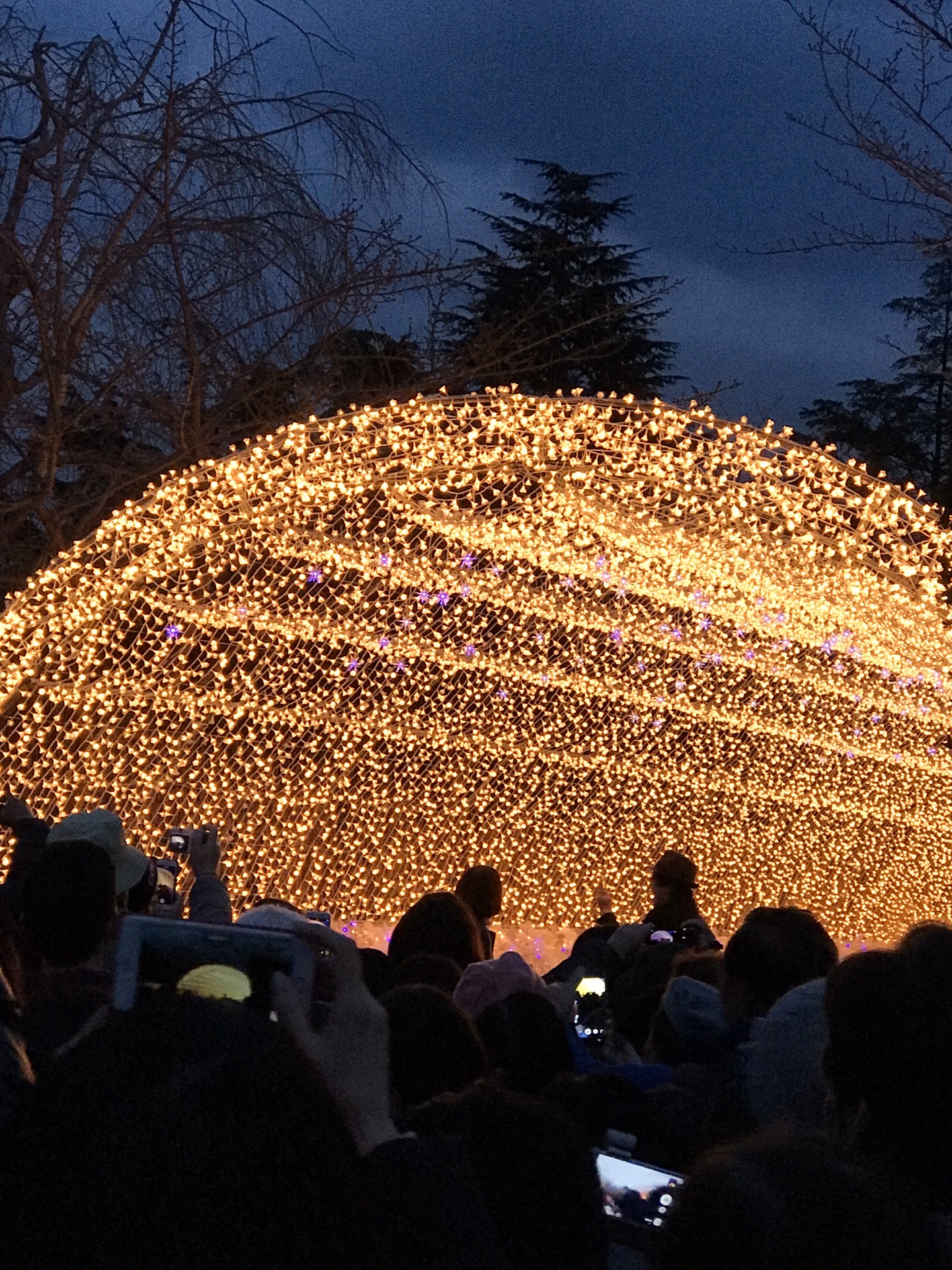 Kuwana Travel Guide 2023 Things to Do, What To Eat & Tips