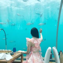 ITHAA UNDERSEA RESTAURANT ảnh của người dùng