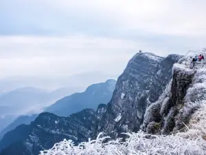 대소사 금정