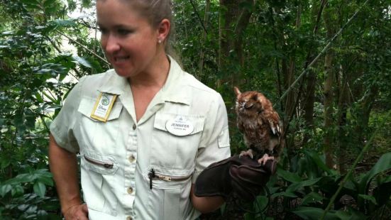 ディズニーズ アニマル キングダム テーマ パークの写真 オーランドの観光スポットの写真 Tripメモリー