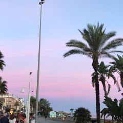 Restaurante Chino Paraiso de China User Photo