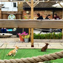 The Feathers Public House and Kitchen User Photo