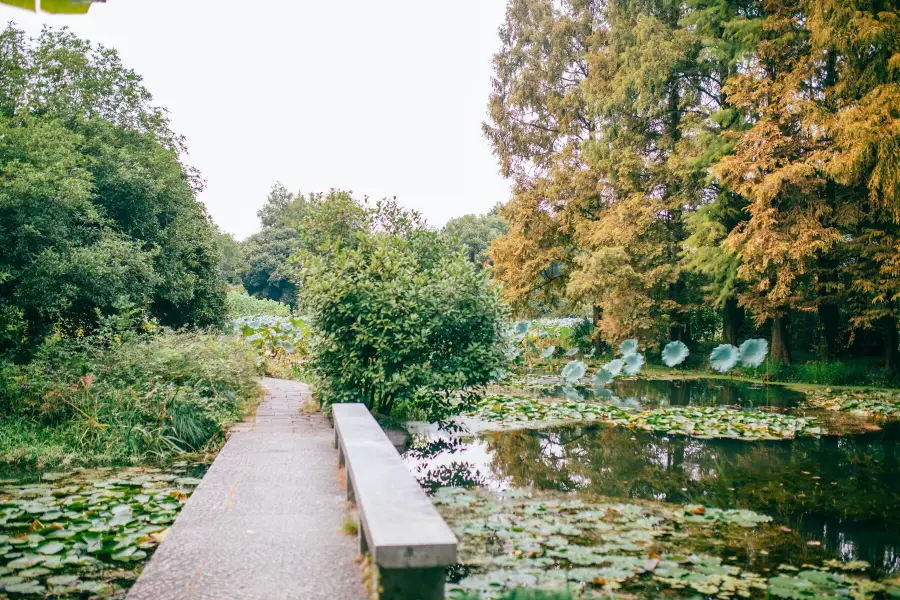 Hangzhou Flower Garden