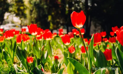 Zhongshan Park