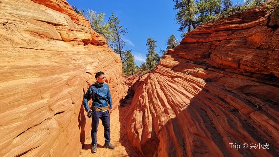 Coral Pink Sand Dunes State Park