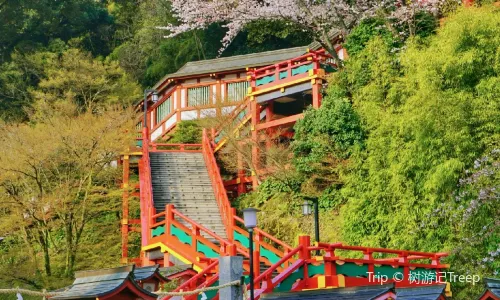 Yūtoku Inari Shrine