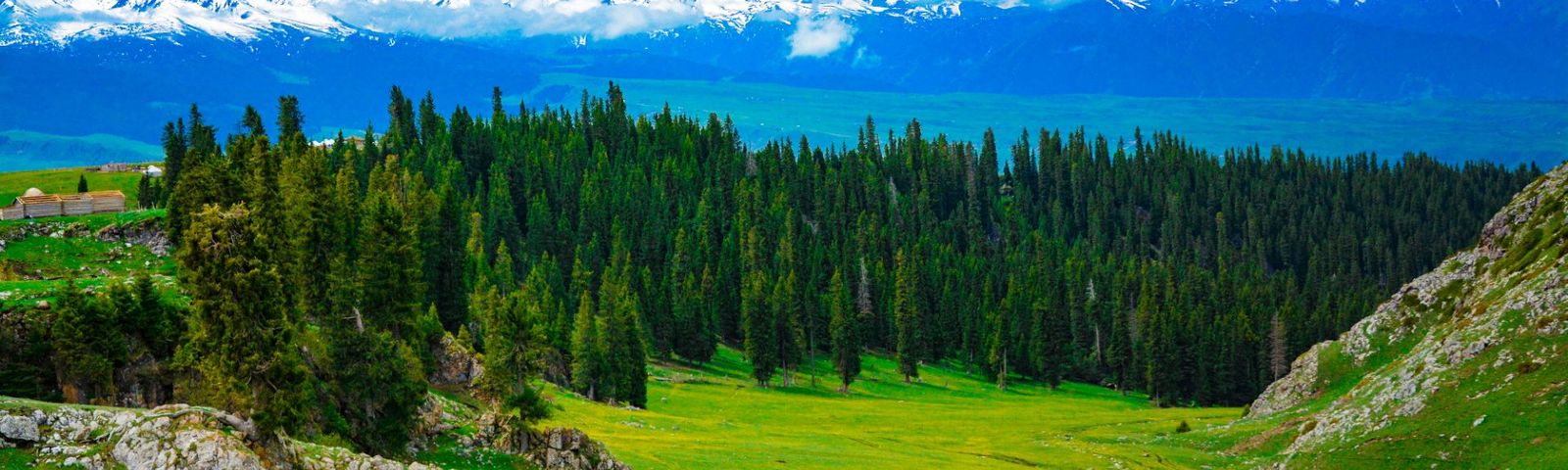 travel