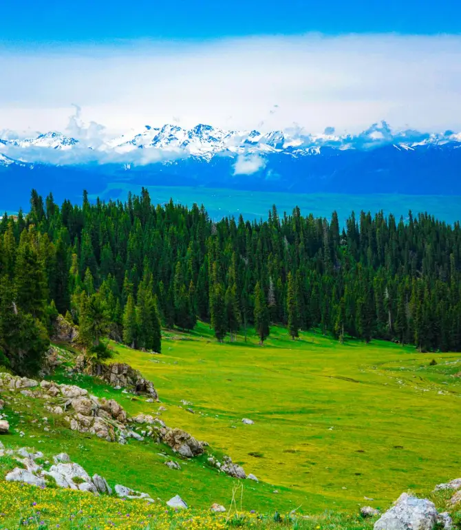 Kalajun Grassland