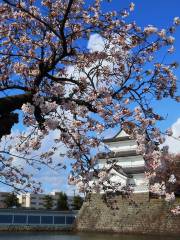 Shibata Castle Ruins