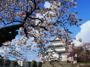 新発田城跡