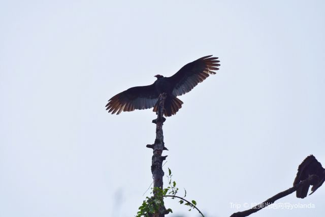 Manuel Antonio National Park