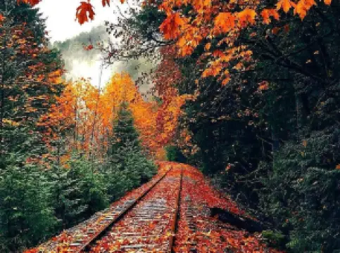 Goldstream Provincial Park