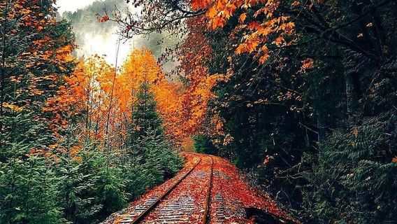 Goldstream Provincial Park