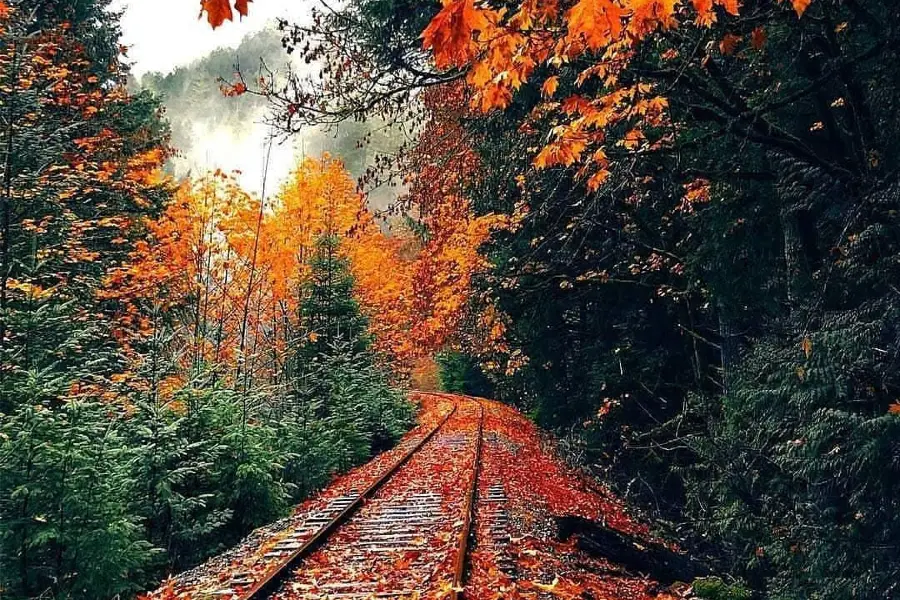 Goldstream Provincial Park