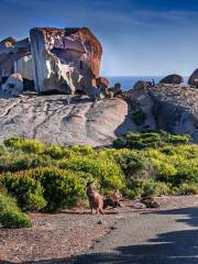 Remarkable Rocks